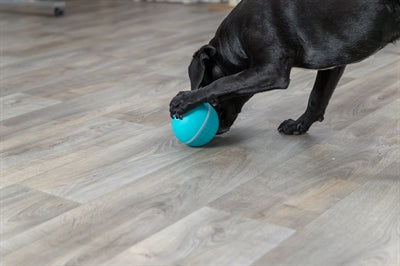 Trixie Snack Ball Hund Kunststoff / Tpr Blau